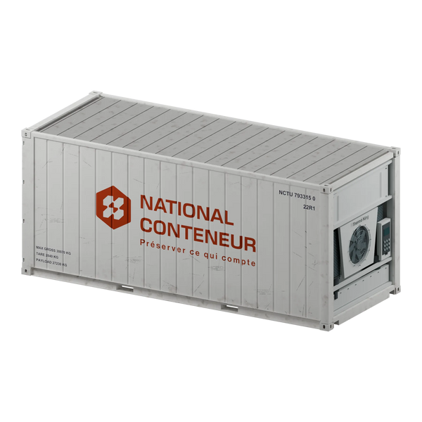 Conteneur Reefer 20 pieds — blanc usé — National Conteneur